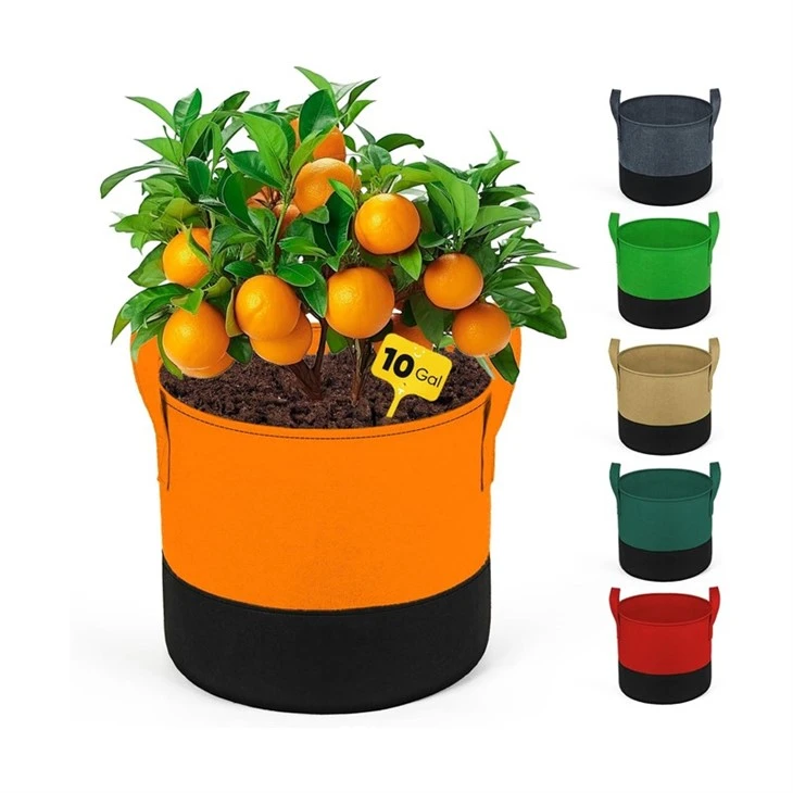 7 Gallon Felt Grow Bag
