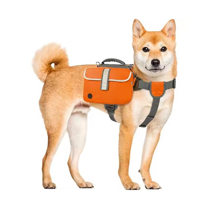 Dog Backpack Hnab
